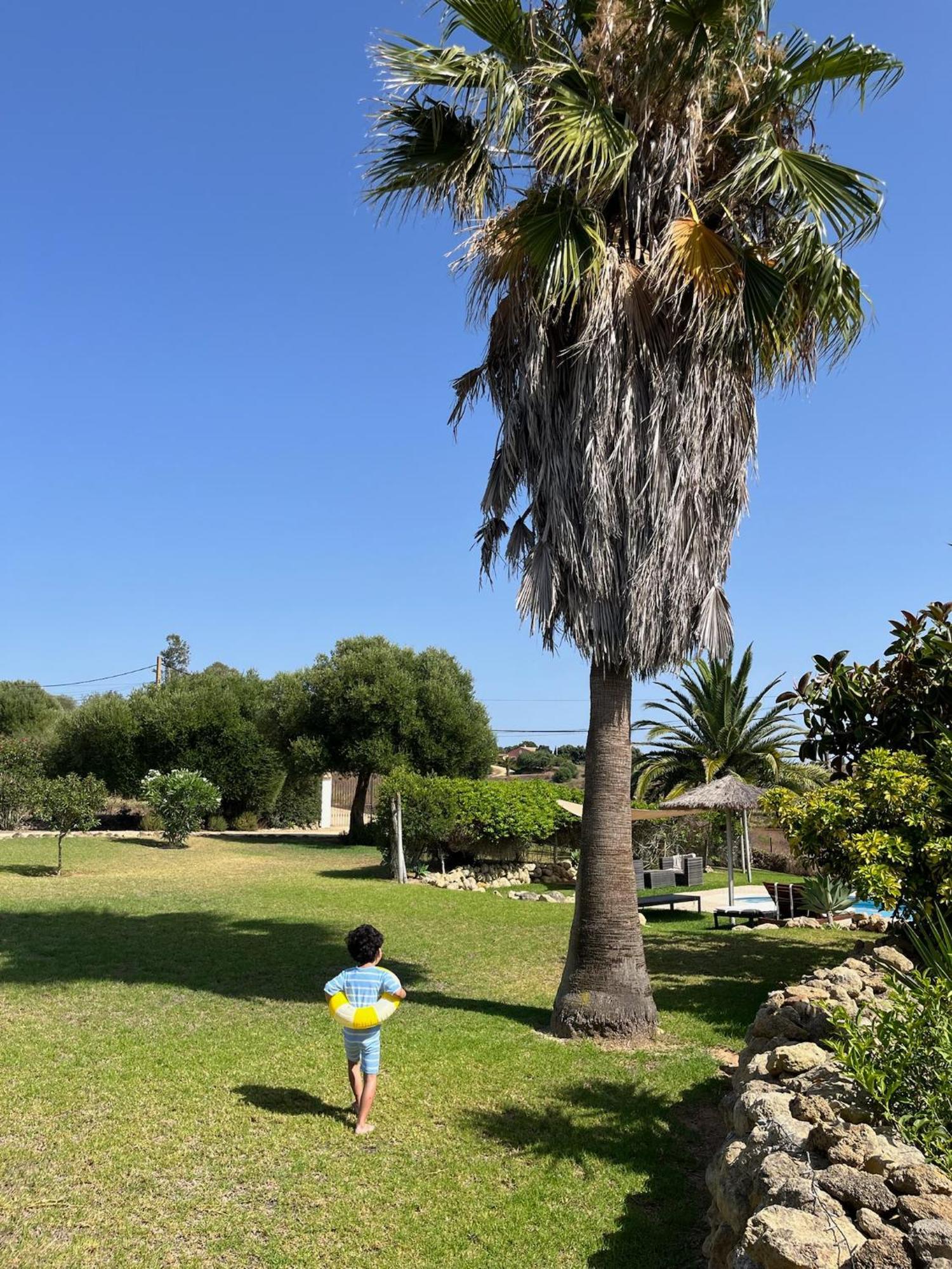 Finca La Vina Vejer de la Frontera Eksteriør billede