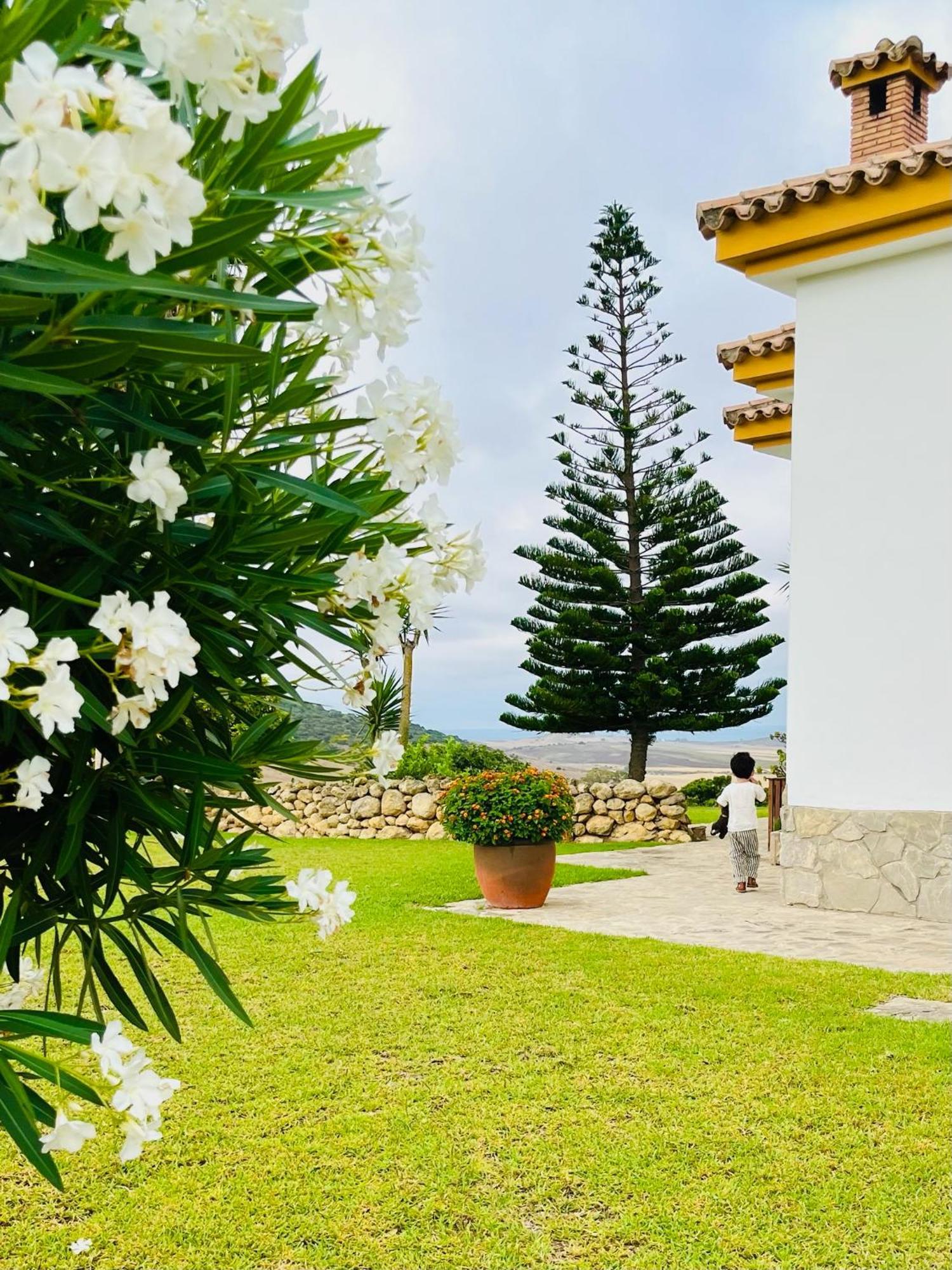 Finca La Vina Vejer de la Frontera Eksteriør billede