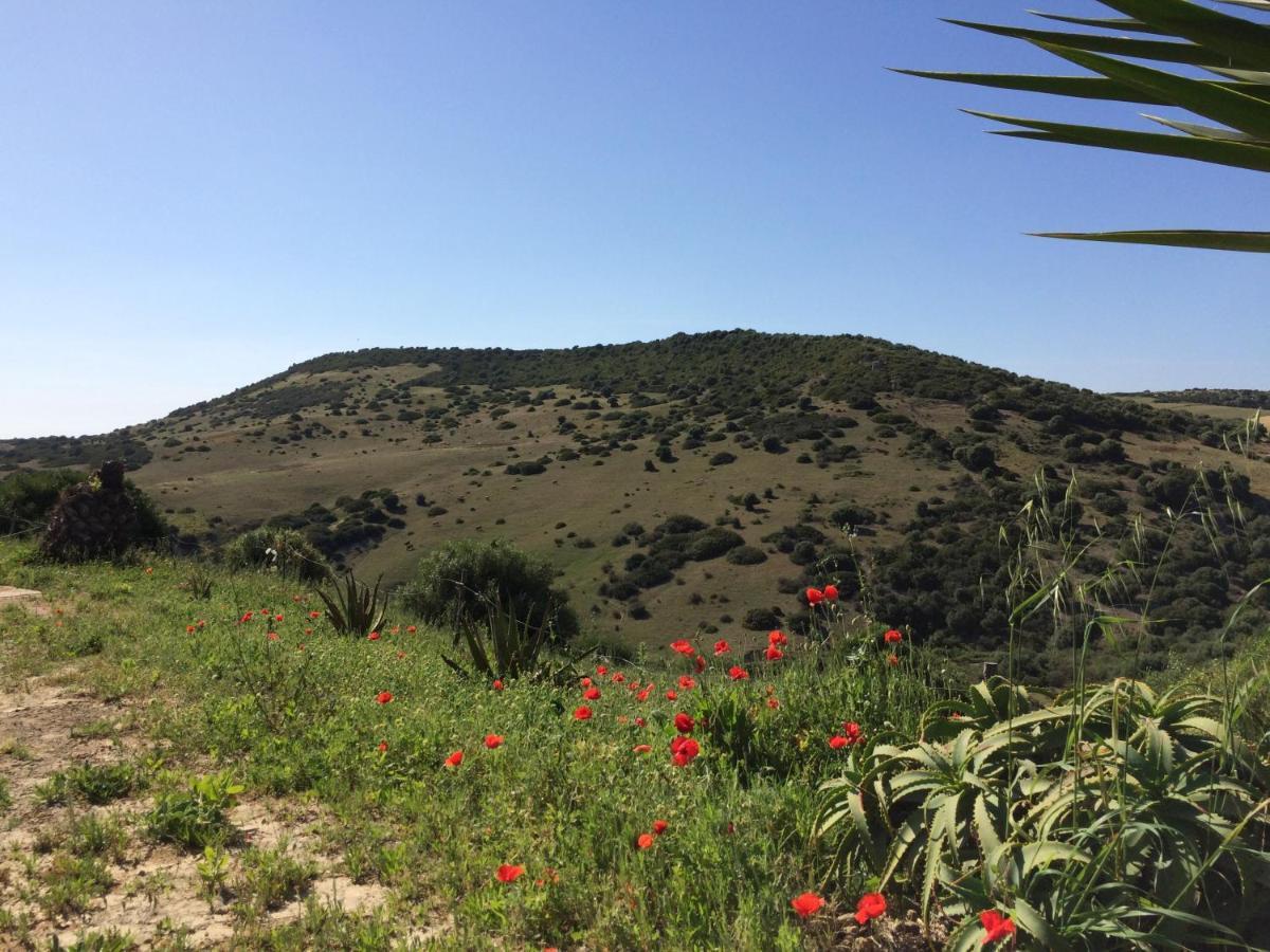Finca La Vina Vejer de la Frontera Eksteriør billede